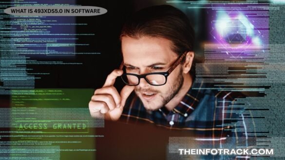 What Is 493xds5.0 In Software