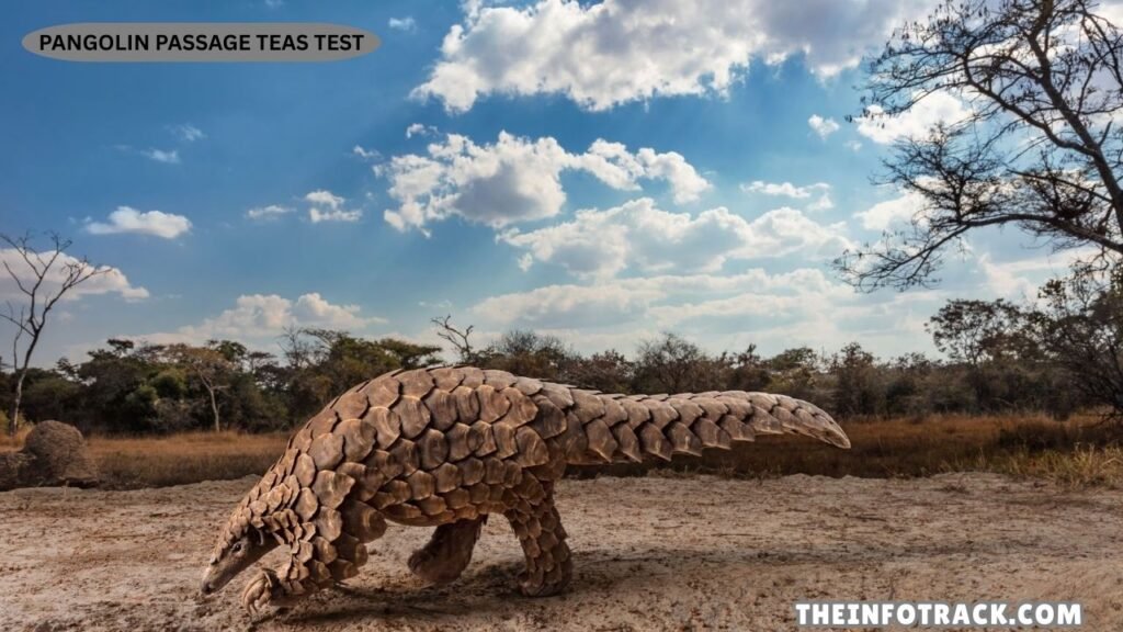 Pangolin Passage TEAS Test